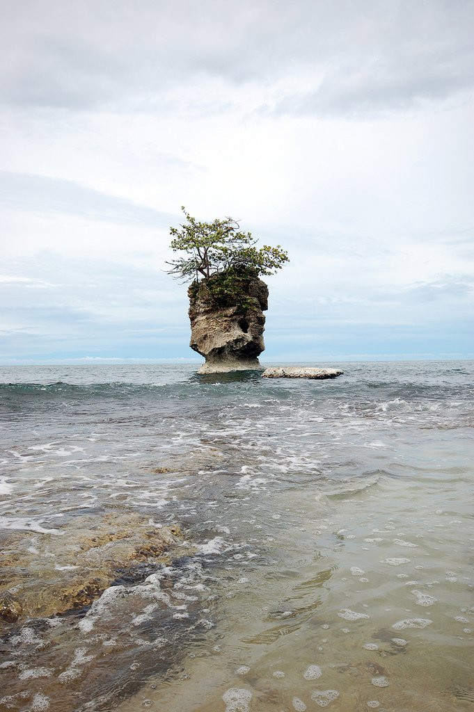 Манзанилло, Лимон провинция, Коста-Рика, фото № 40125 – фотографии Коста-Рики