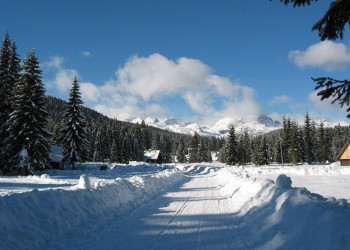 Поклюка, Словения, фото № 57411 – фотографии Словении