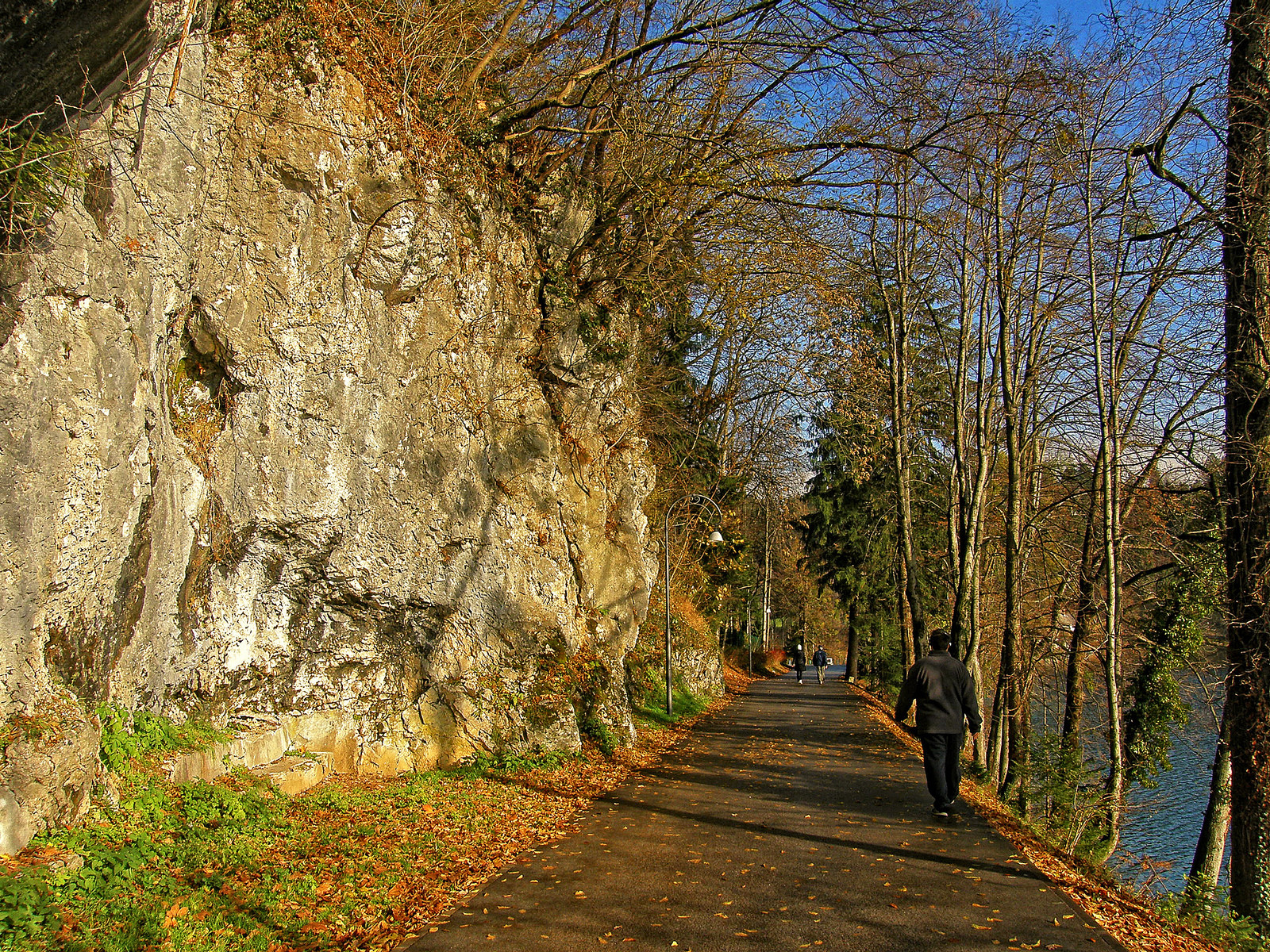 Бледское озеро (Blejsko jezero), Словения. Фото 7 – фотографии Словении