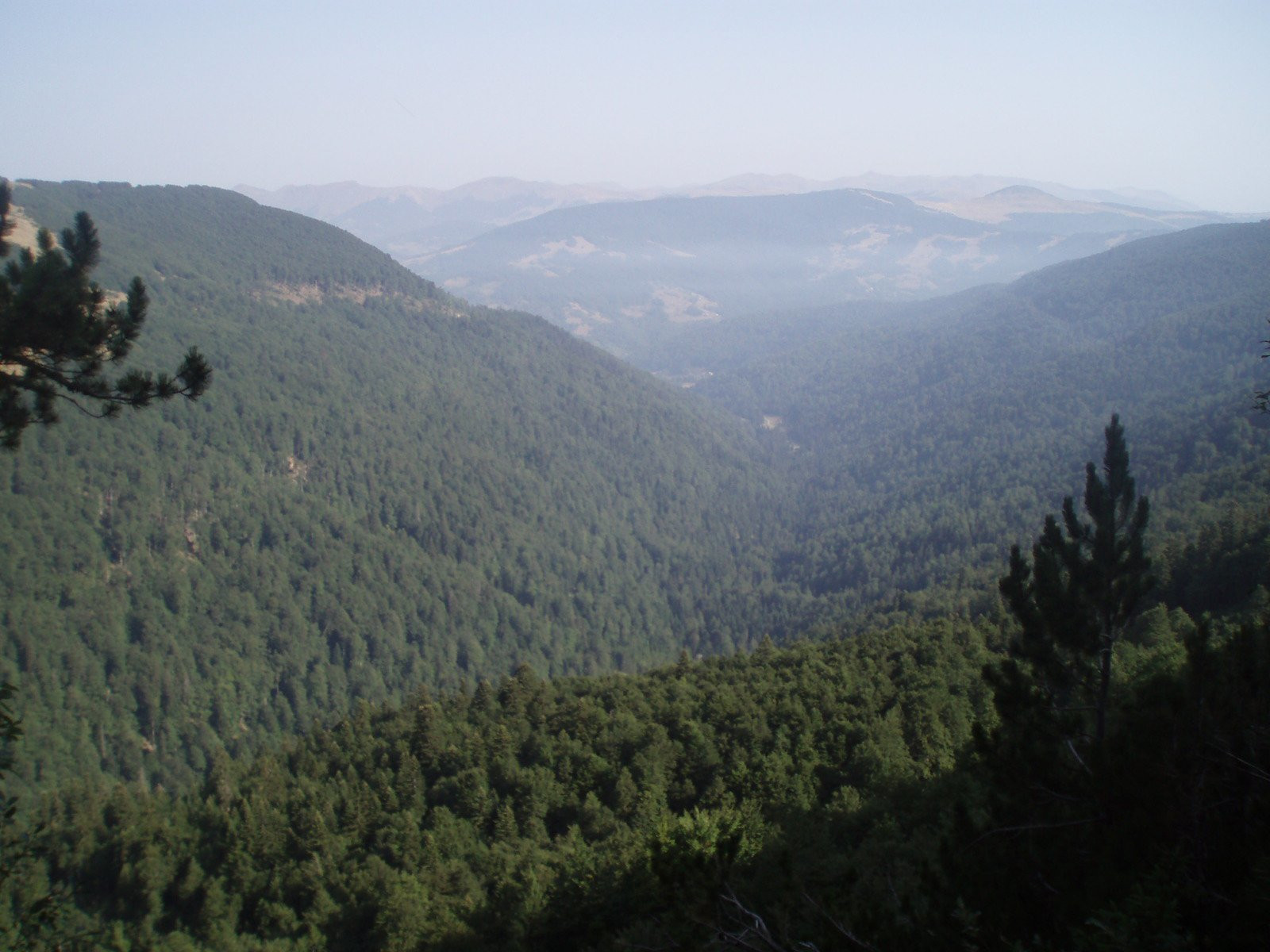 Панорамный вид Национального парка, Черногория. Фото 10 – фотографии Черногории