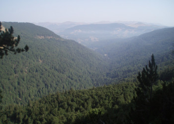 Панорамный вид Национального парка, Черногория. Фото 10 – фотографии Черногории