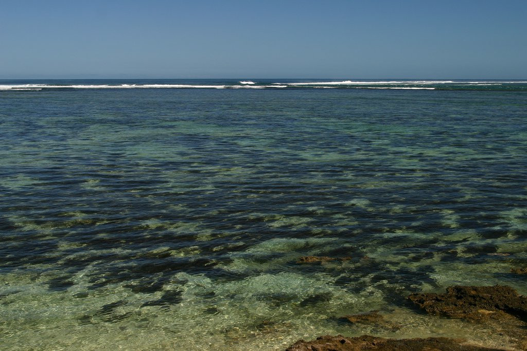 Корал Коаст, Вити Леву остров, Вити Леву группа островов, Фиджи, фото № 49487 – фотографии Фиджи