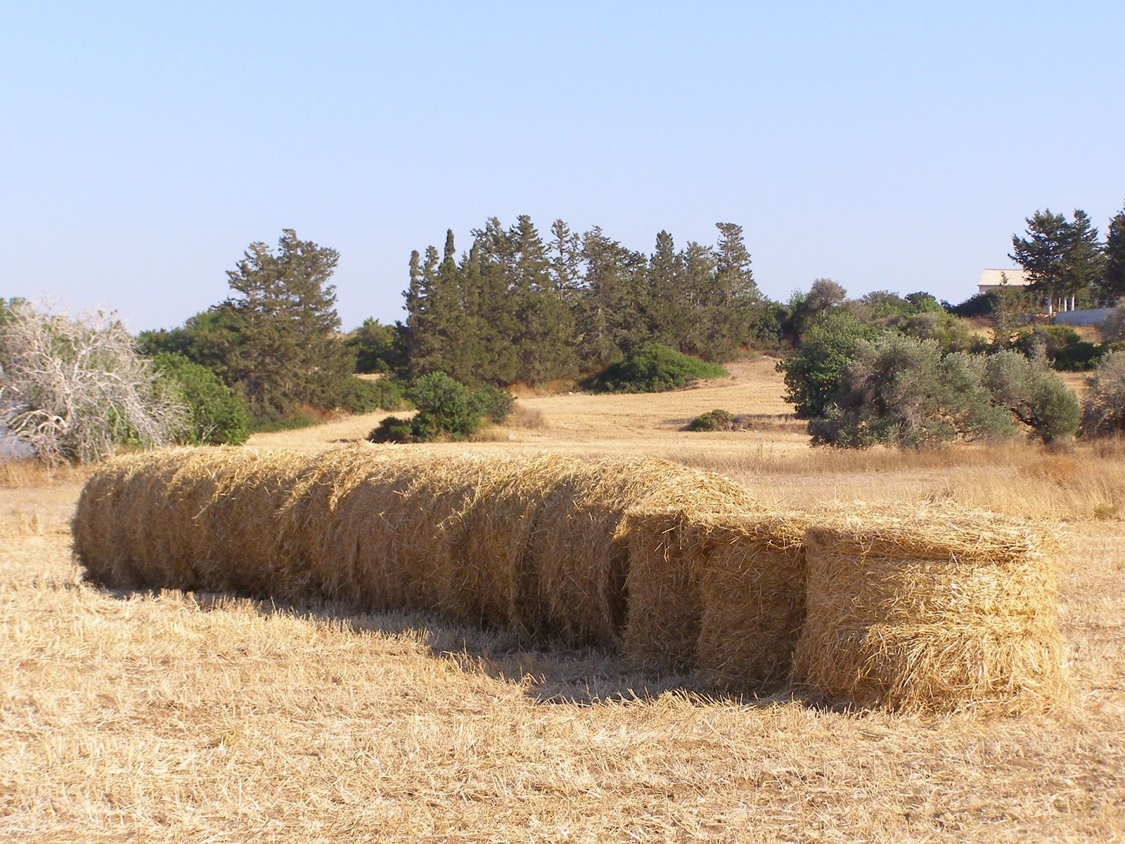 Полис, Кипр, фото № 38733 – фотографии Кипра