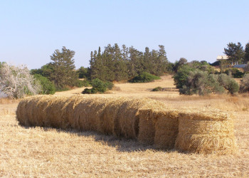 Полис, Кипр, фото № 38733 – фотографии Кипра