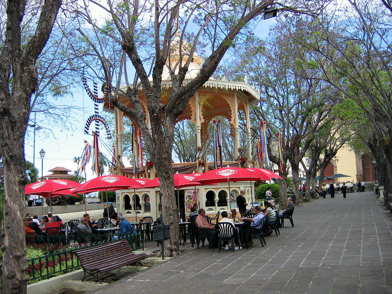 Ла-Оротава, Тенерифе остров, Канарские острова, фото № 33301 – фотографии Канарских островов