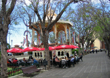 Ла-Оротава, Тенерифе остров, Канарские острова, фото № 33301 – фотографии Канарских островов