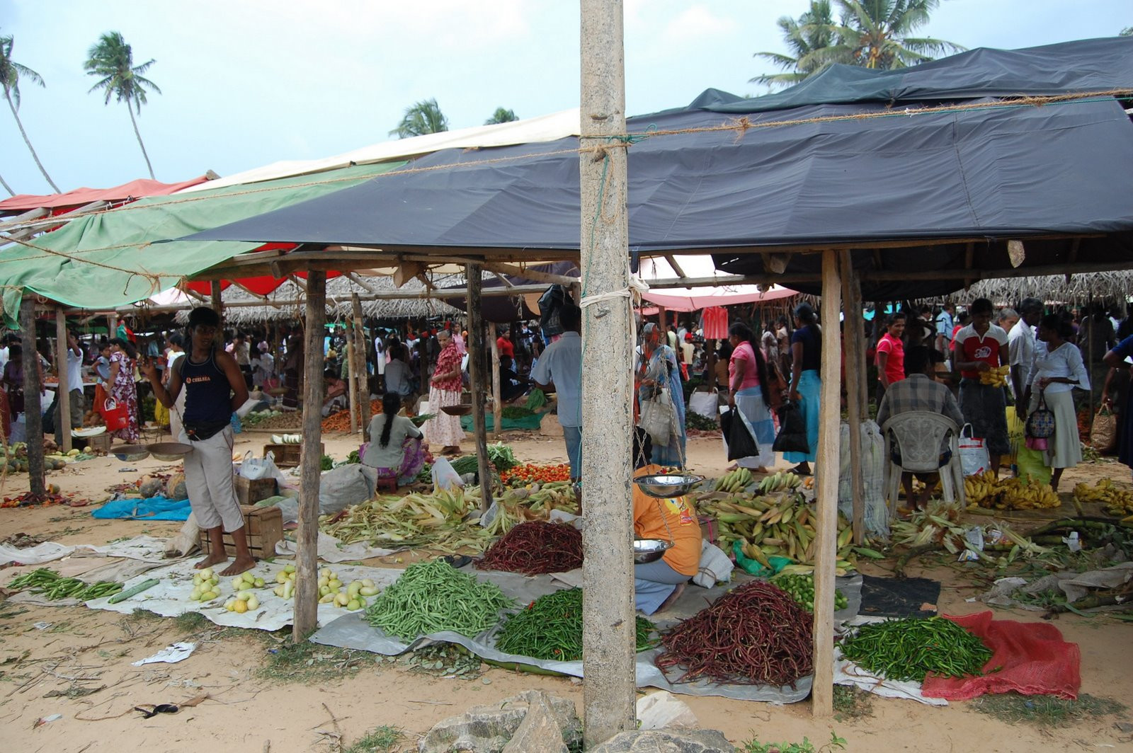 Диквелла, Шри-Ланка, фото № 51147 – фотографии Шри-Ланки