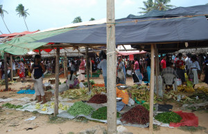 Диквелла, Шри-Ланка, фото № 51147 – фотографии Шри-Ланки