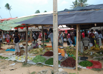 Диквелла, Шри-Ланка, фото № 51147 – фотографии Шри-Ланки