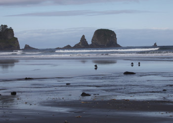 Пляж Ши-Ши в Национальном парке Олимпик. США. Фото 5 – фотографии США