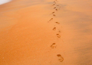 Маравила, Шри-Ланка, фото № 51710 – фотографии Шри-Ланки