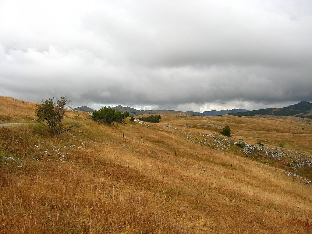 Поле в Черногория – фотографии Черногории