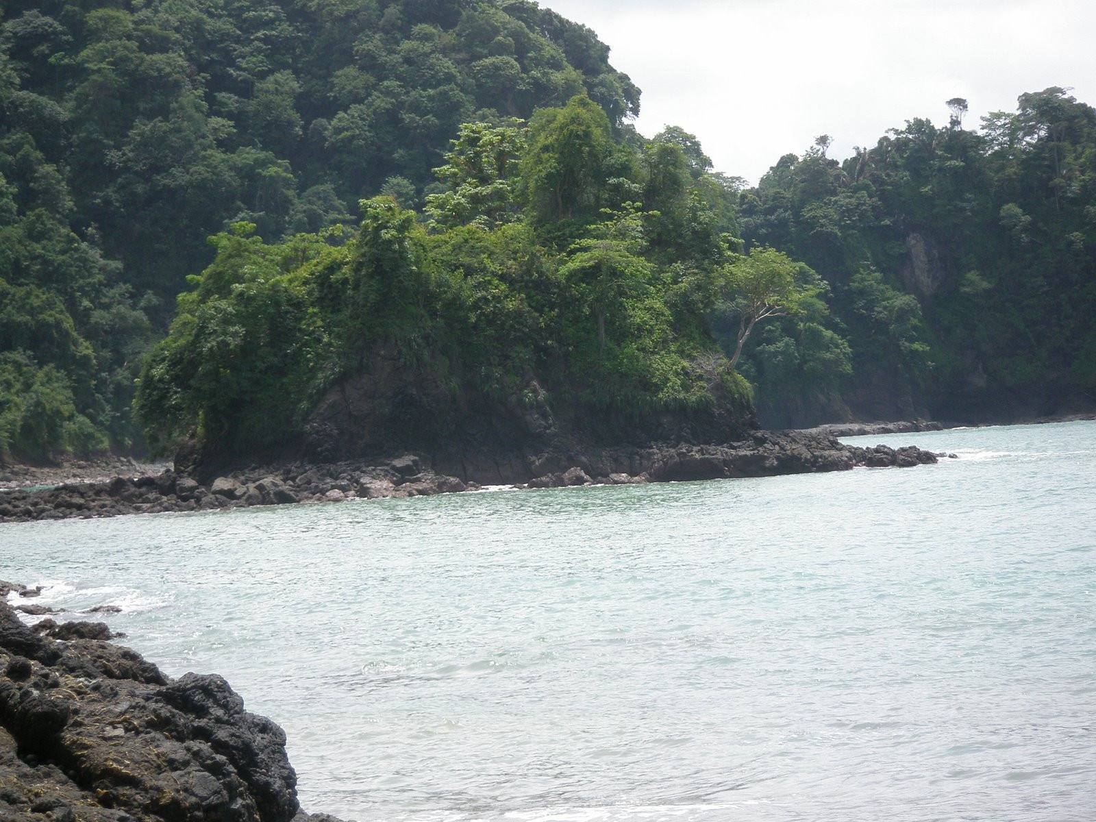 Мануэль Антонио, Пунтаренас провинция, Коста-Рика, фото № 40641 – фотографии Коста-Рики