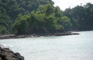 Мануэль Антонио, Пунтаренас провинция, Коста-Рика, фото № 40641 – фотографии Коста-Рики