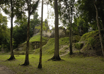 Tikal – фотографии Гватемалы