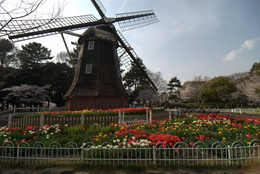 Nagoya – фотографии Японии