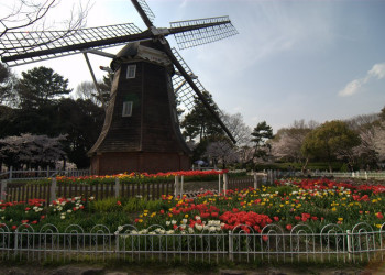 Nagoya – фотографии Японии