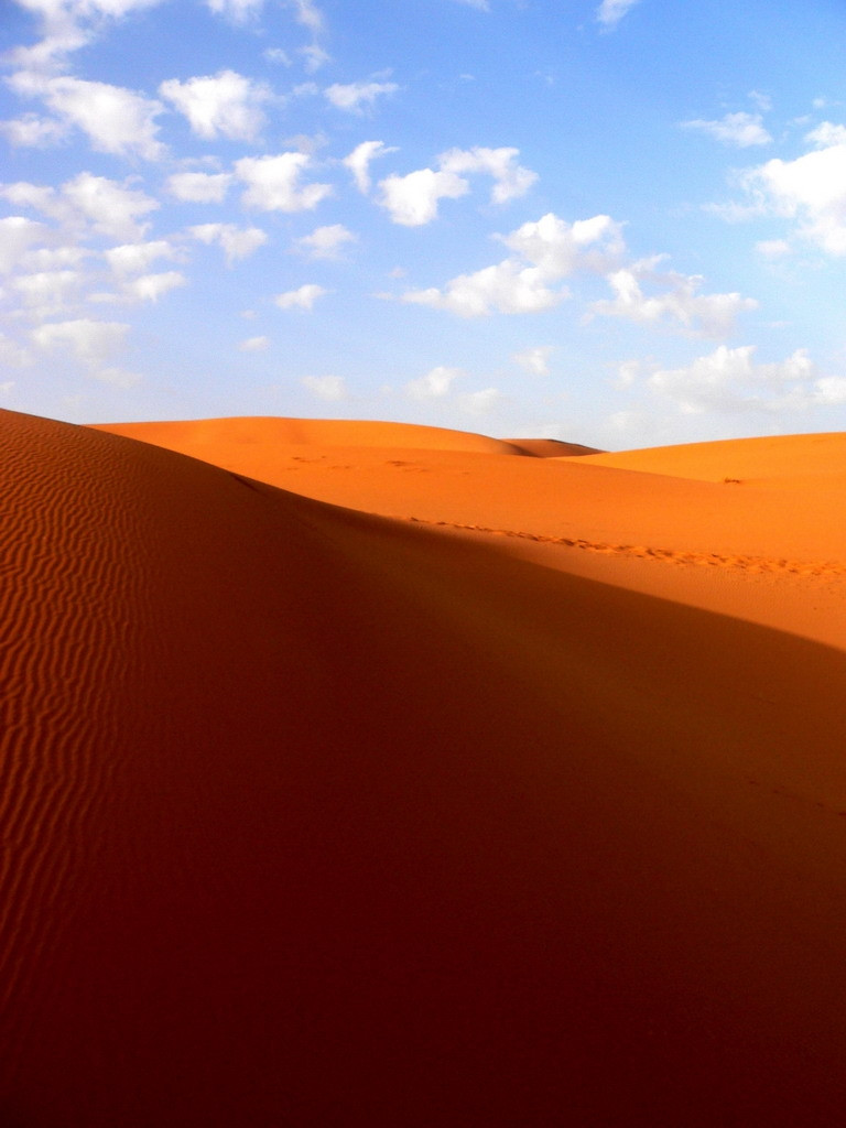 Марокко, фото № 49 – фотографии Марокко