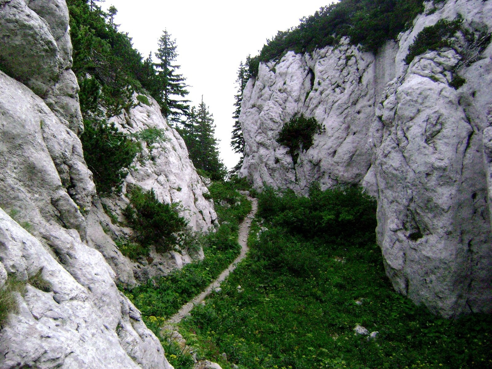 Скала в Северный Велебит Национальный, Хорватия. Фото 3 – фотографии Хорватии