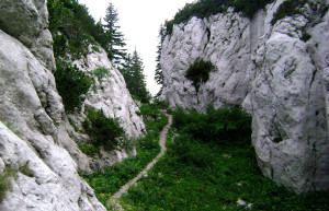 Скала в Северный Велебит Национальный, Хорватия. Фото 3 – фотографии Хорватии