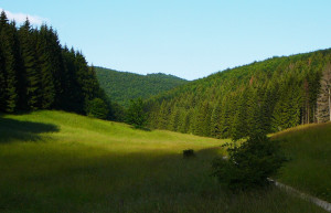 Бюкк Национальный Парк, Венгрия, фото № 70080 – фотографии Венгрии