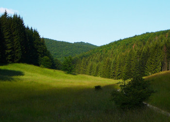 Бюкк Национальный Парк, Венгрия, фото № 70080 – фотографии Венгрии