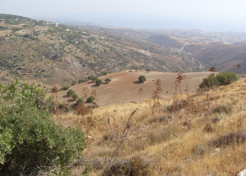 Пафос, Кипр, фото № 38518 – фотографии Кипра