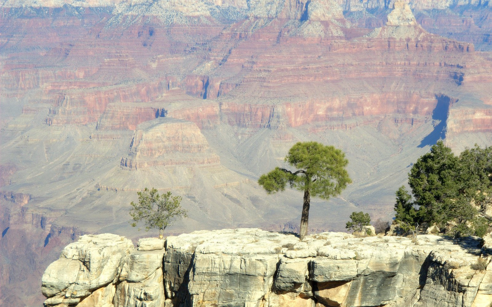 Гранд-Каньон Национальный парк, Аризона штат, США, фото № 67809 – фотографии США