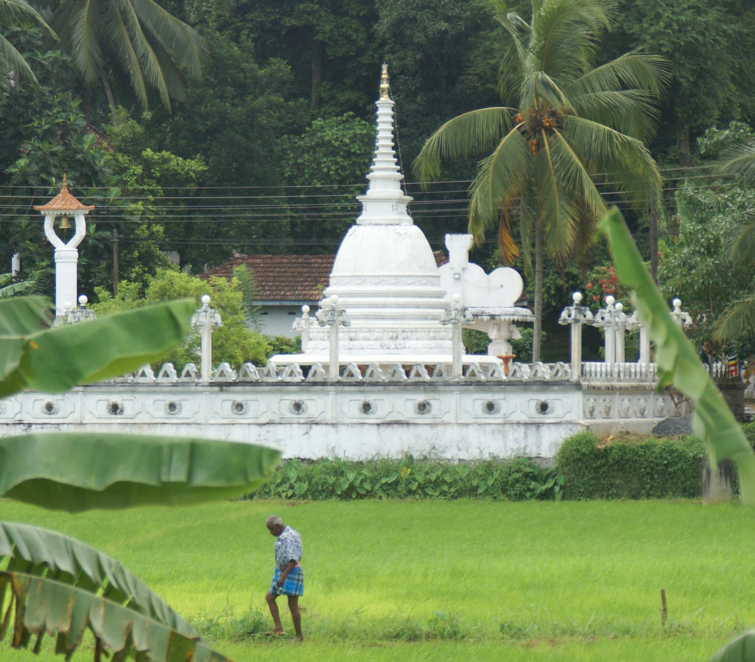 Ратнапура, Шри-Ланка, фото № 52221 – фотографии Шри-Ланки