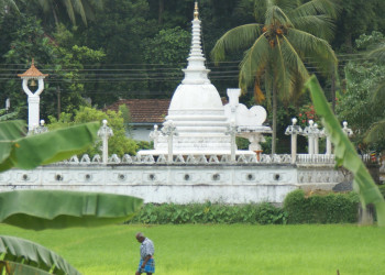 Ратнапура, Шри-Ланка, фото № 52221 – фотографии Шри-Ланки