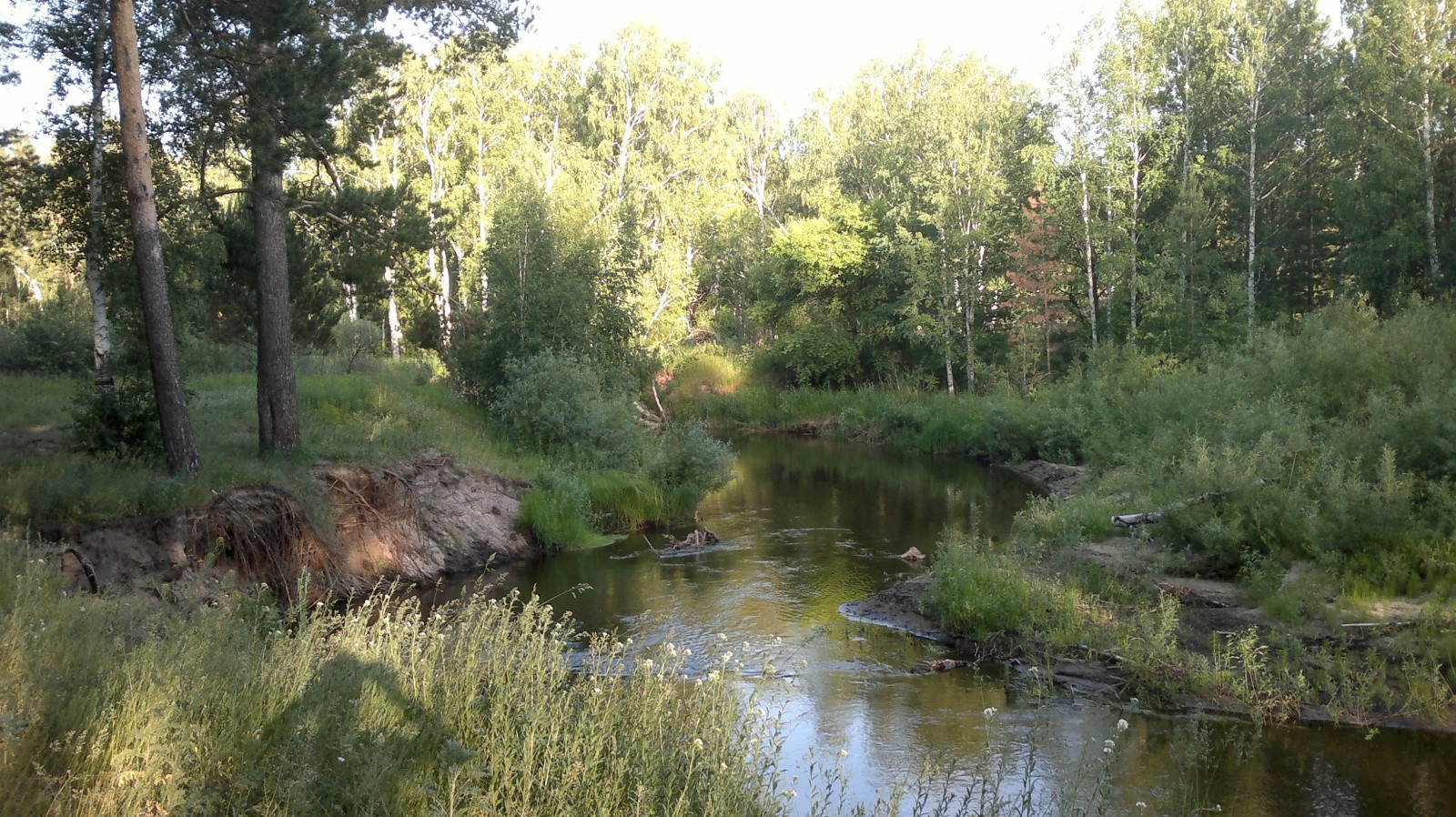 природа алтая – фотографии России