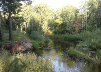 природа алтая – фотографии России