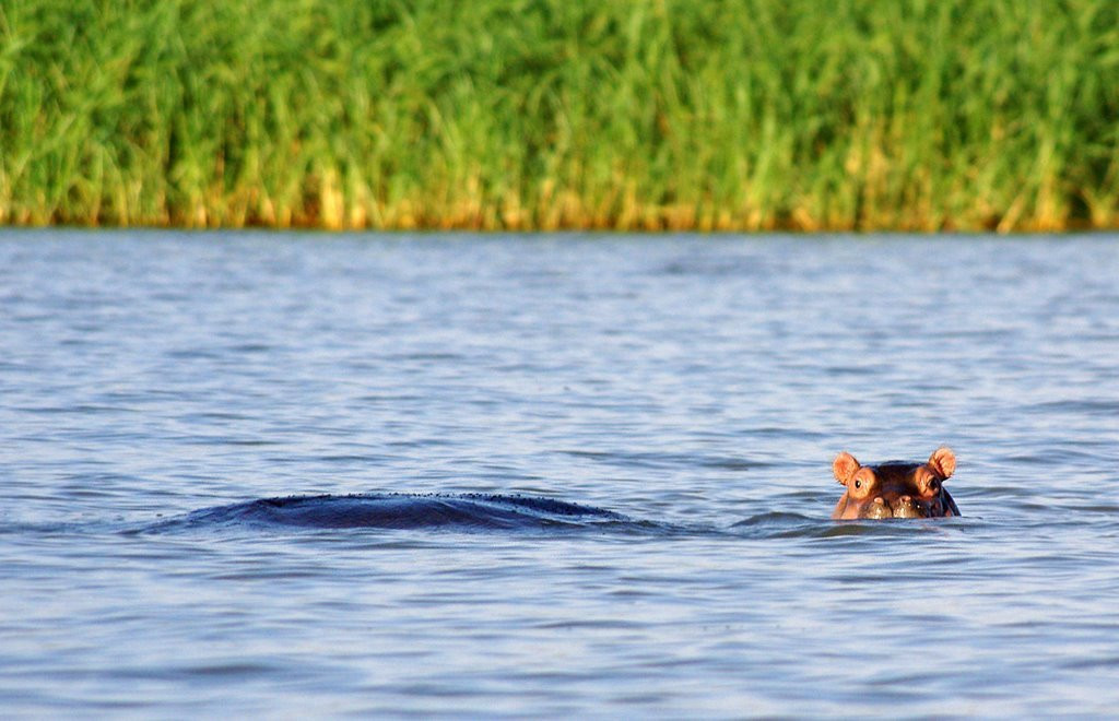 Река в Эфиопии – фотографии Эфиопии
