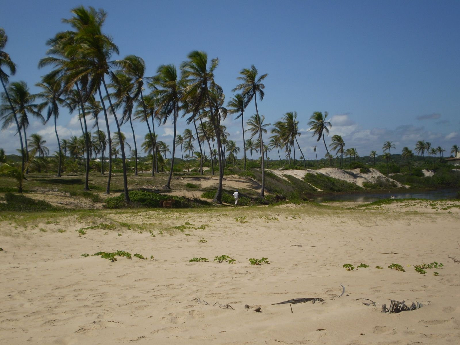 Пляж в Коста-ду-Саупе, Бразилия. Фото 13 – фотографии Бразилии