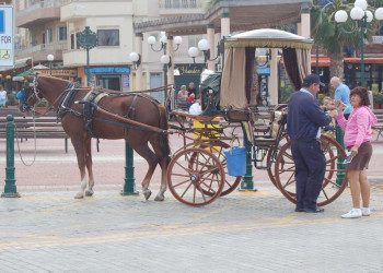 Аура-Буджибба, Мальта остров, Мальта, фото № 41985 – фотографии Мальты