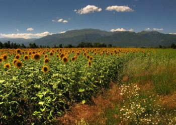 Природа в Павел-Баня, Болгария – фотографии Болгарии