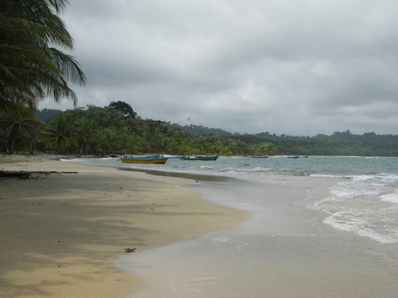 Манзанилло, Лимон провинция, Коста-Рика, фото № 40149 – фотографии Коста-Рики