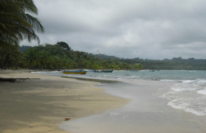 Манзанилло, Лимон провинция, Коста-Рика, фото № 40149 – фотографии Коста-Рики