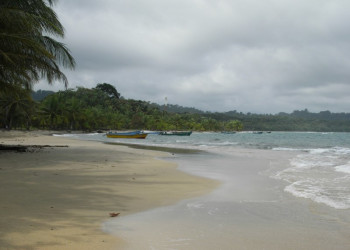 Манзанилло, Лимон провинция, Коста-Рика, фото № 40149 – фотографии Коста-Рики