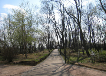 Парк Коломенское – фотографии России