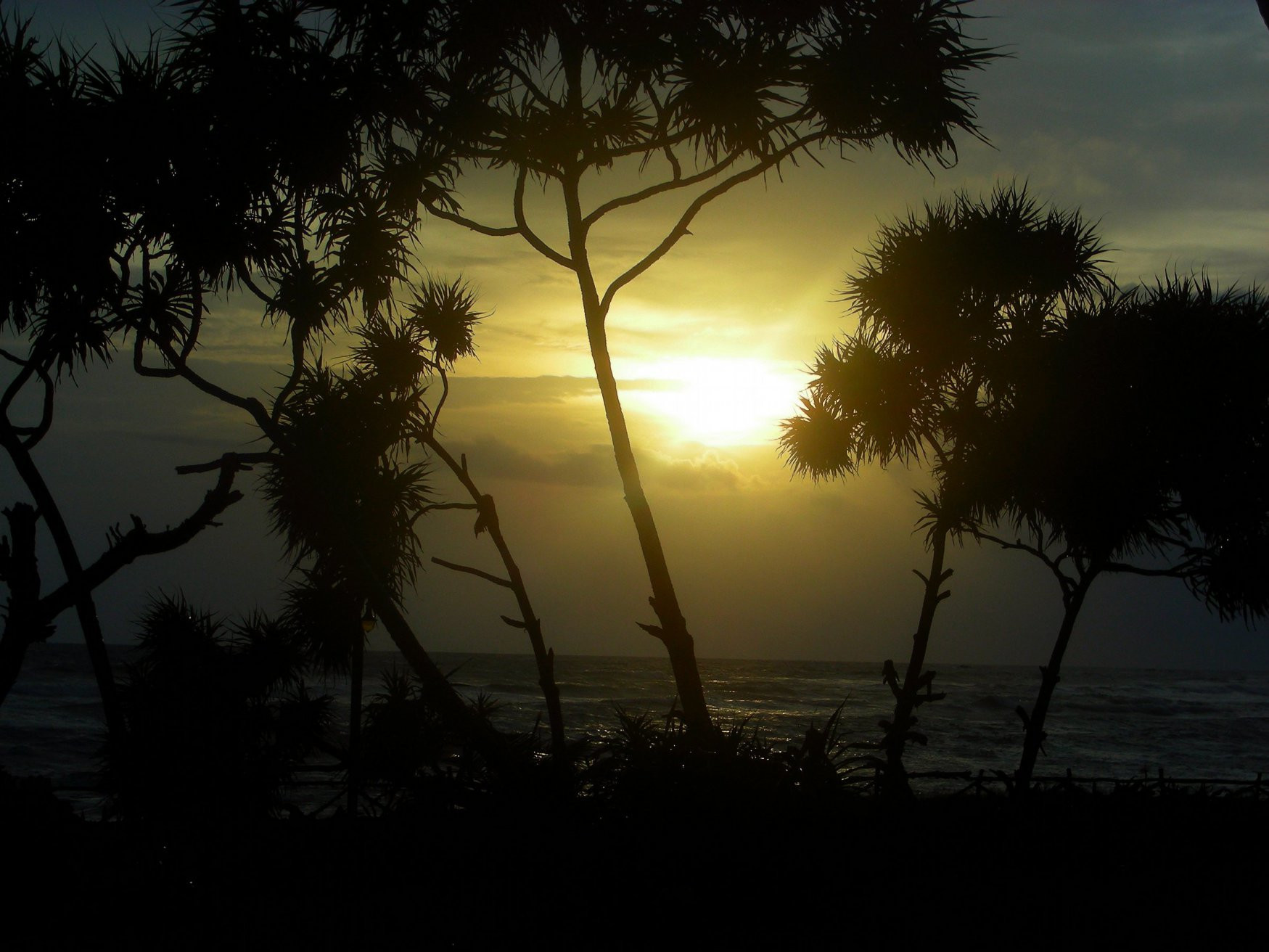 Велигама, Шри-Ланка, фото № 50869 – фотографии Шри-Ланки