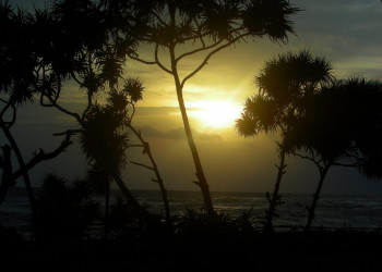 Велигама, Шри-Ланка, фото № 50869 – фотографии Шри-Ланки