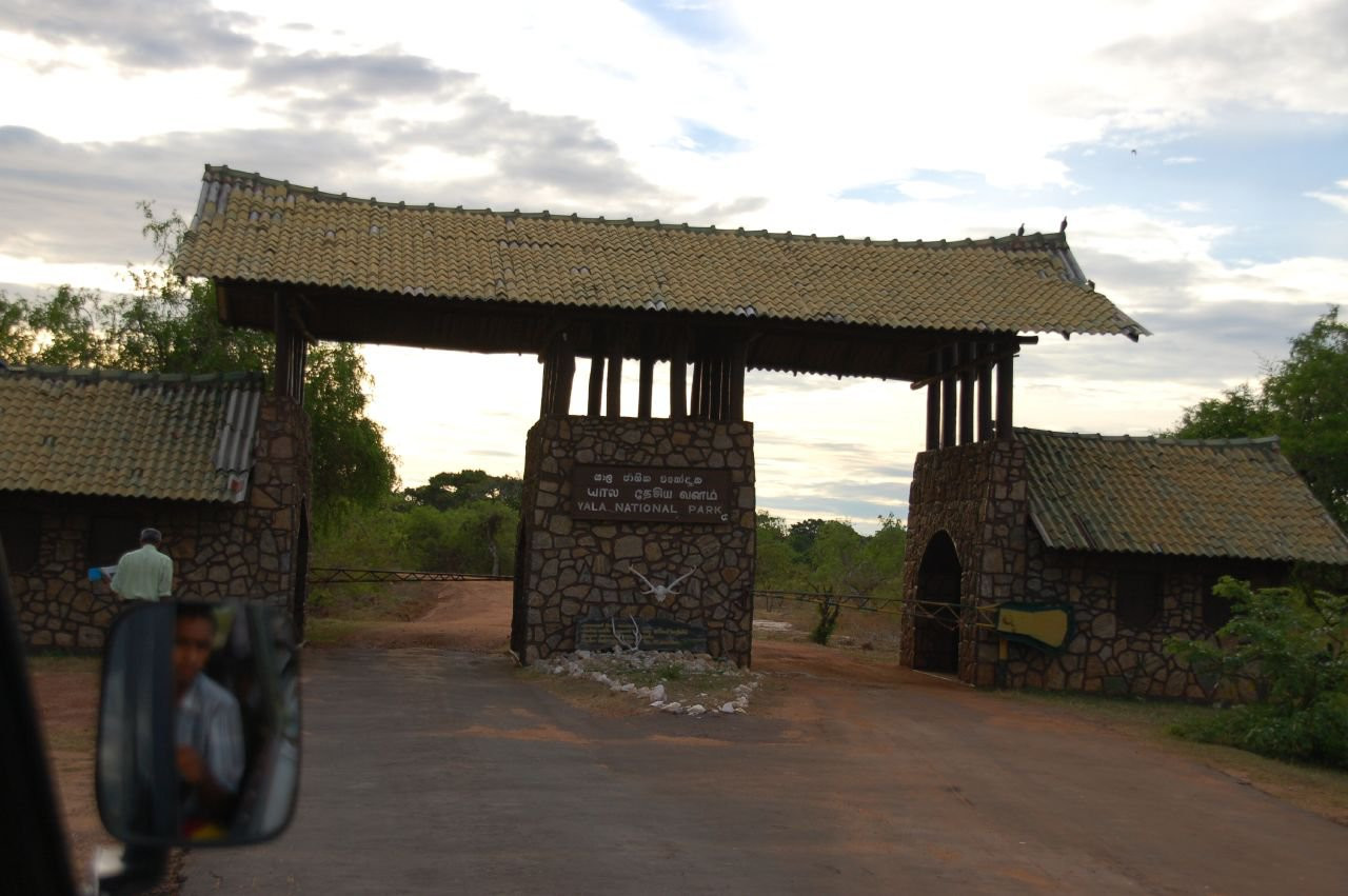 Яла Национальный Парк, Шри-Ланка, фото № 52697 – фотографии Шри-Ланки