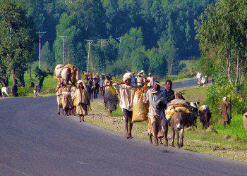 Жители озера Тана, Эфиопия – фотографии Эфиопии