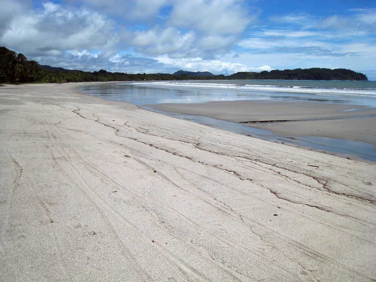 Самара, Гуанакасте провинция, Коста-Рика, фото № 39908 – фотографии Коста-Рики