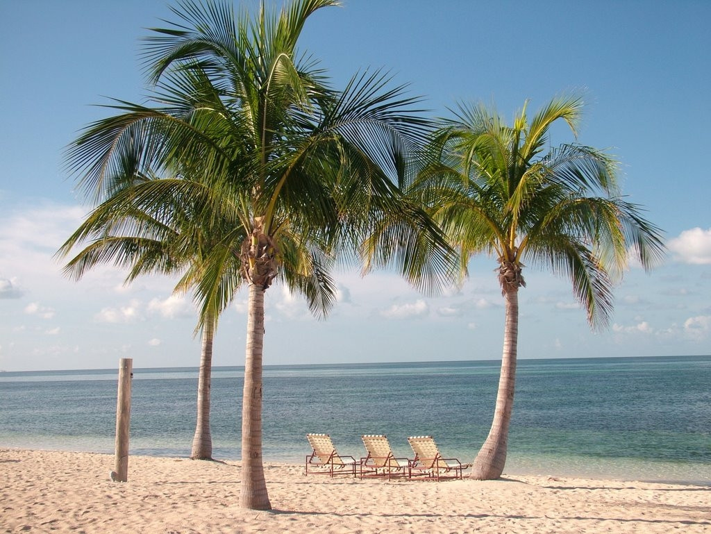 Пляж на острове Гранд Багама, Багамские острова. Фото 14 – фотографии Багамских островов