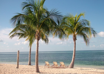 Пляж на острове Гранд Багама, Багамские острова. Фото 14 – фотографии Багамских островов