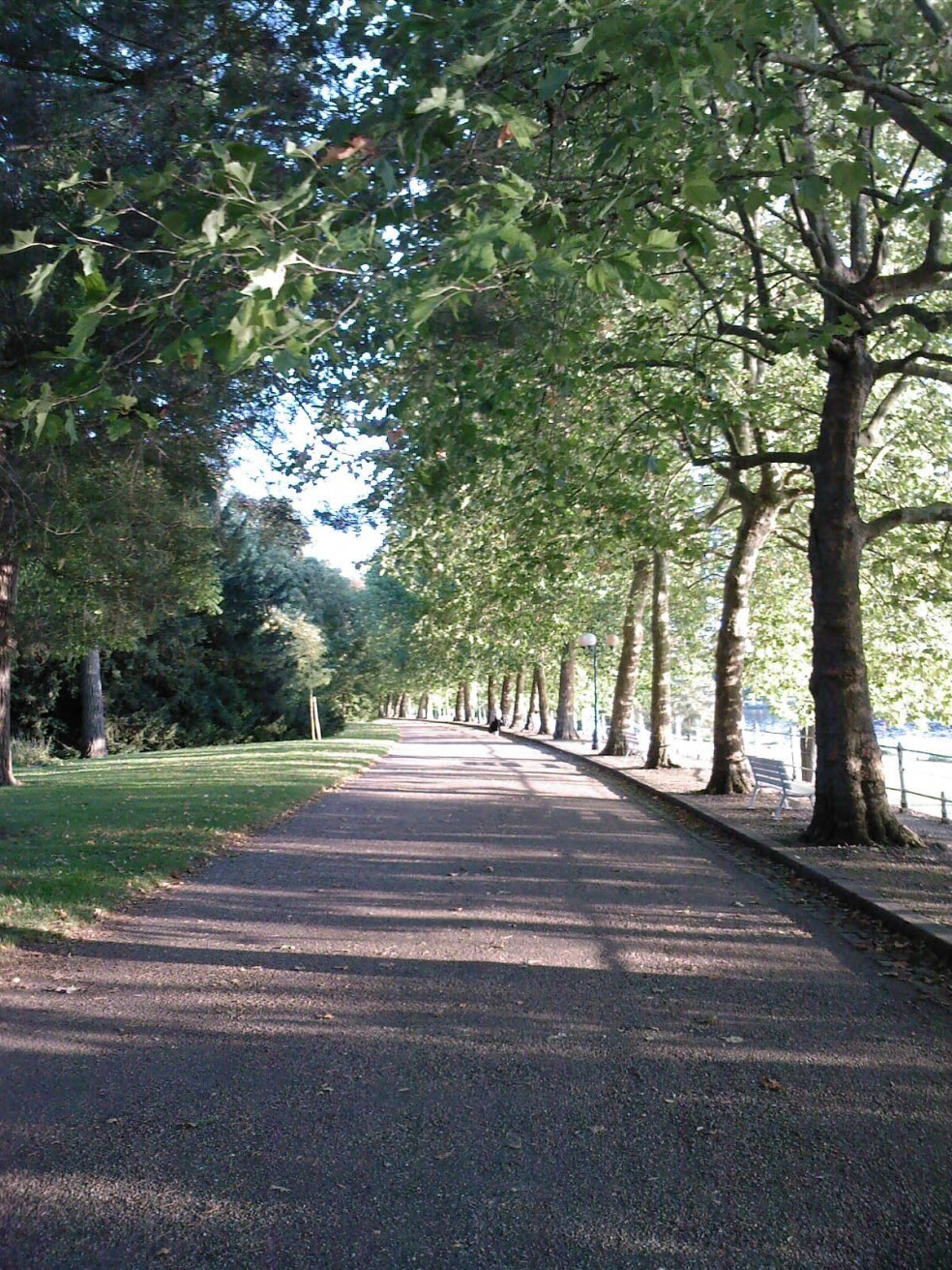 Парк в Виши, Франция – фотографии Франции