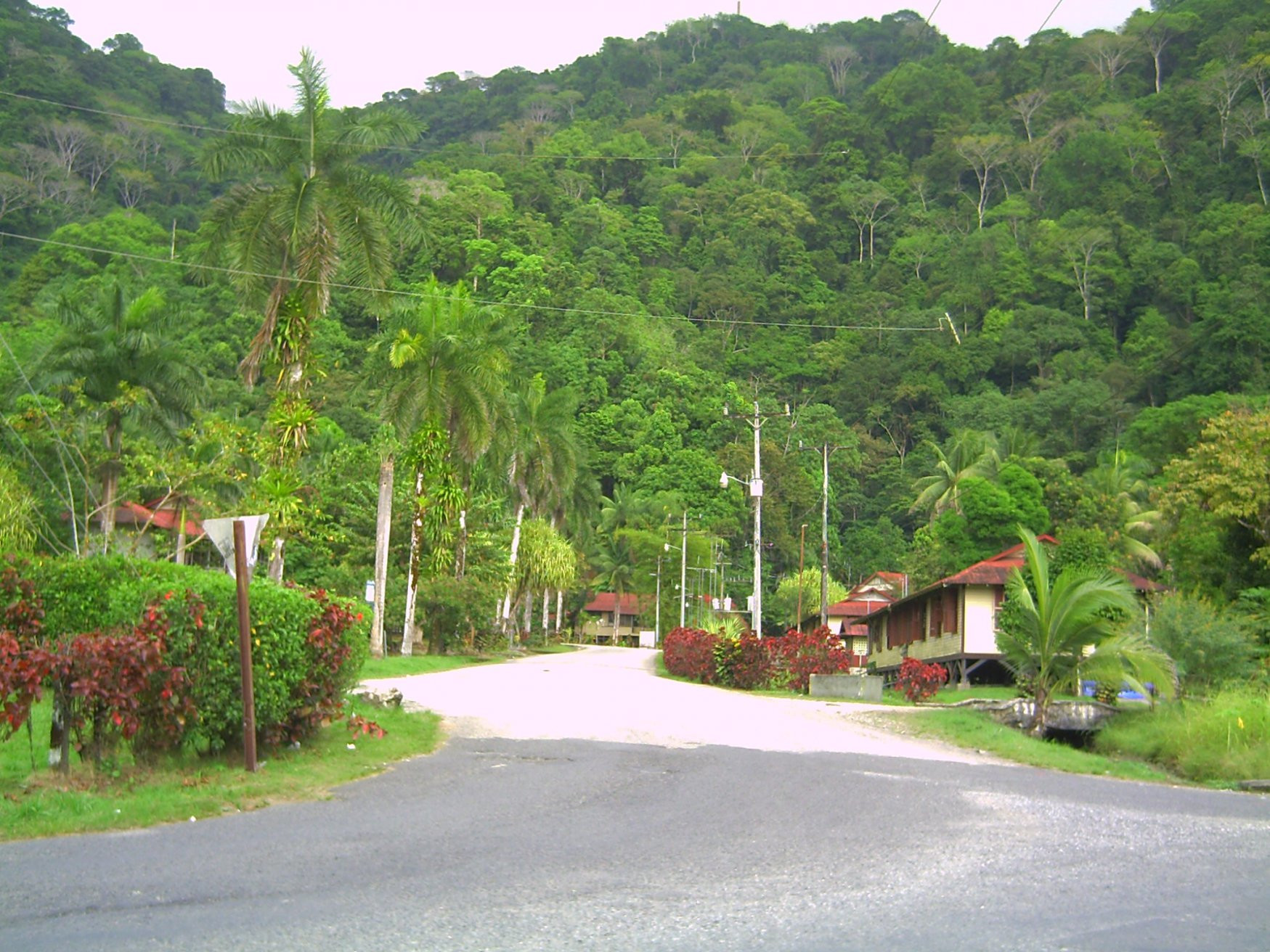 Гольфито, Пунтаренас провинция, Коста-Рика, фото № 40395 – фотографии Коста-Рики