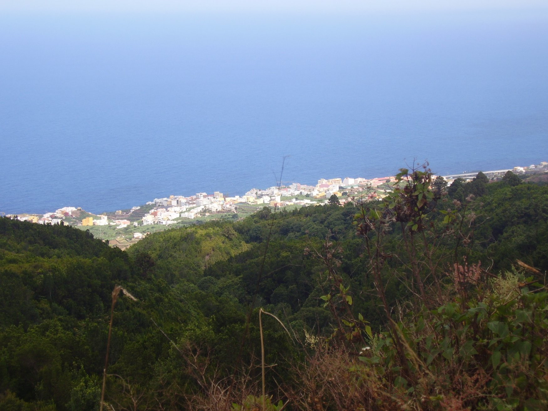 Сан-Андрес-и-Саусес, Ла-Пальма остров, Канарские острова, фото № 32125 – фотографии Канарских островов